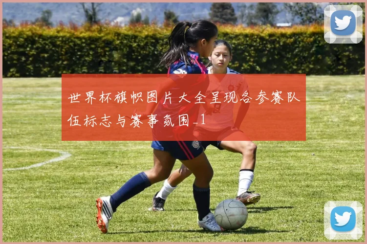 世界杯旗帜图片大全呈现各参赛队伍标志与赛事氛围_1